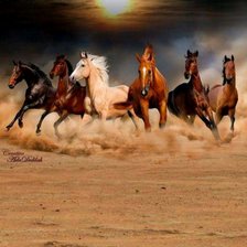 Схема вышивки «Табун»