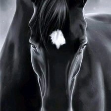 Схема вышивки «Красавец»