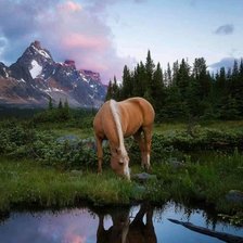 Схема вышивки «У озера»