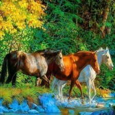 Схема вышивки «В лесу»