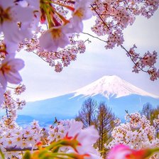 Схема вышивки «fuji»