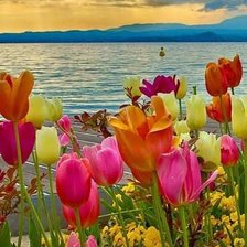 Схема вышивки «Hermoso»