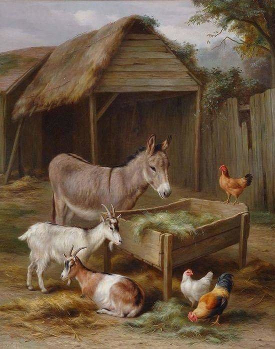 Compartiendo - naturaleza - оригинал