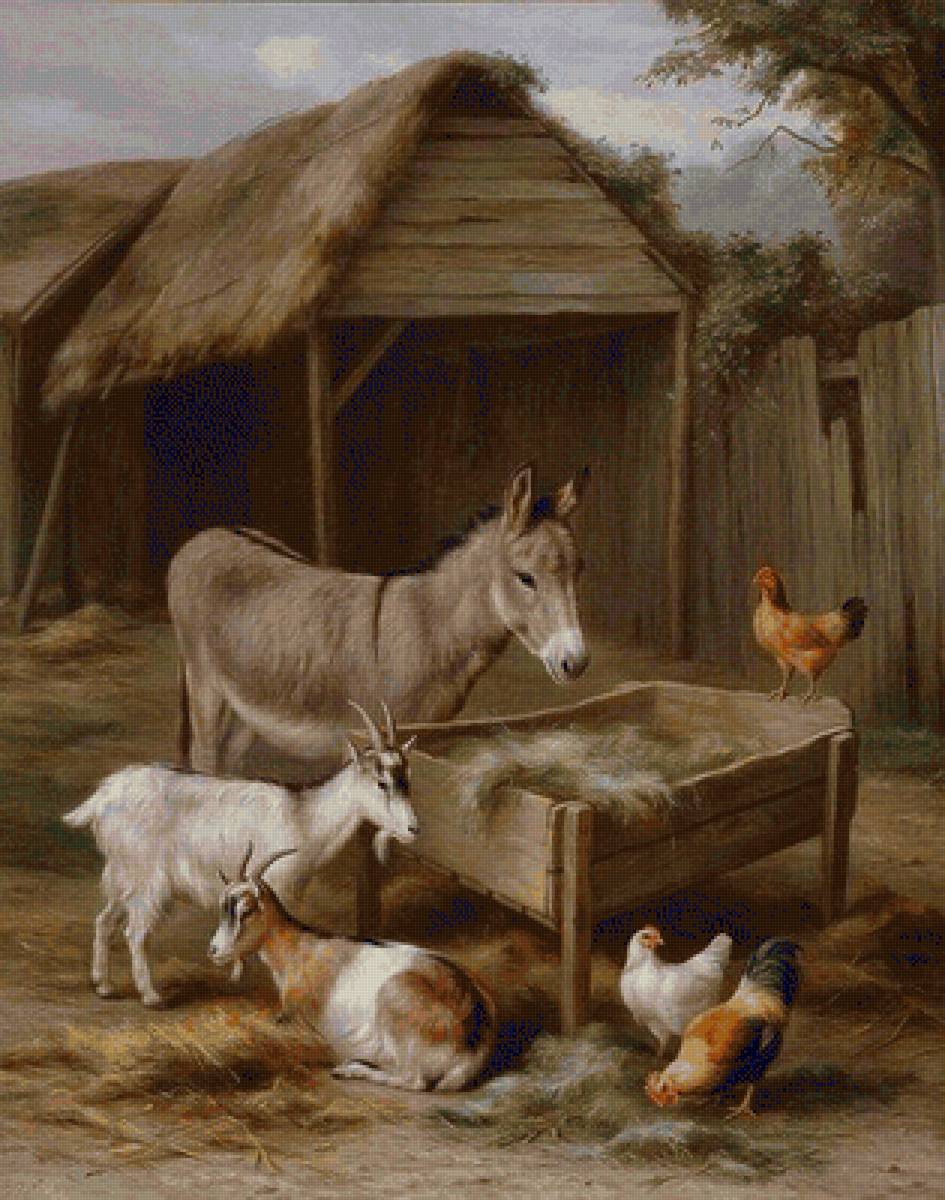 Compartiendo - naturaleza - предпросмотр