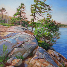 Схема вышивки «Rocas»