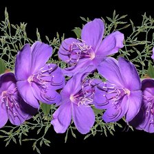 Схема вышивки «Boque de flores.»