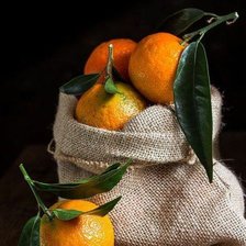 Схема вышивки «Натюрморт»