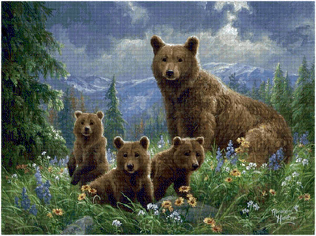 медвежье семейство - животные - предпросмотр