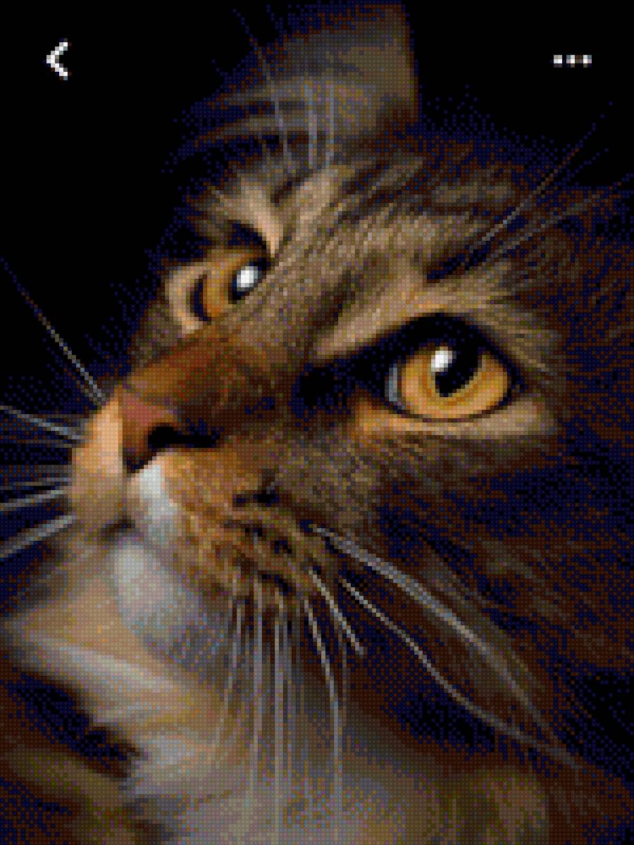 Кот - предпросмотр