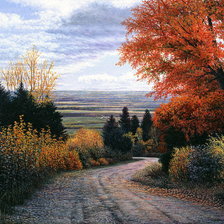 Схема вышивки «дорога»