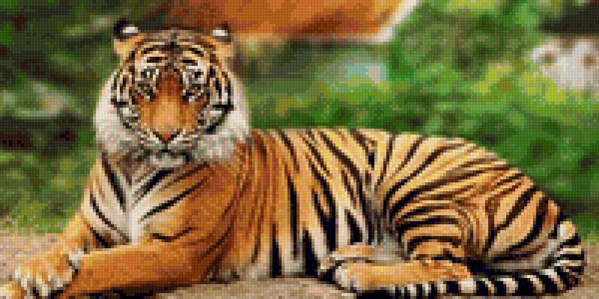 Animales - предпросмотр