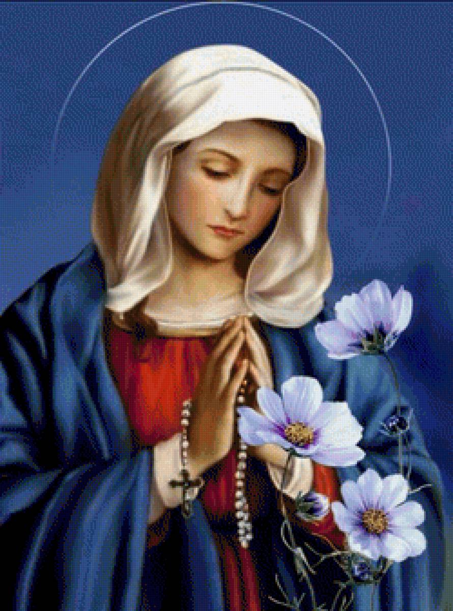 Maria - предпросмотр