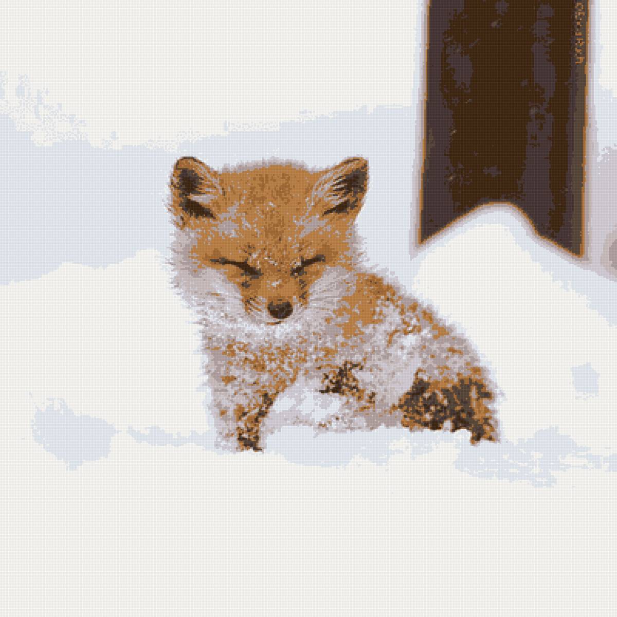 лисенок - лисенок - предпросмотр