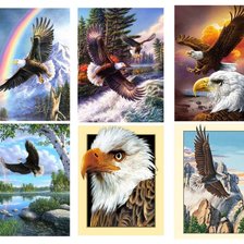 Схема вышивки «птицы»