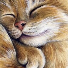 Сладкий сон