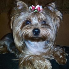 Схема вышивки «Красотка Ассоль»