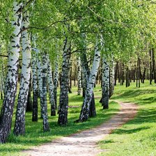 Схема вышивки «Paisagens.»
