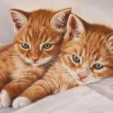 Схема вышивки «gatinhos.»