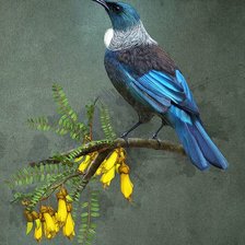 Схема вышивки «Pássaros.»