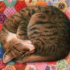 Схема вышивки «Gato.»