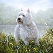 Схема вышивки «№2412955»