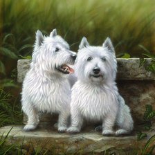 Схема вышивки «№2412957»