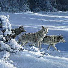 Схема вышивки «№2412958»