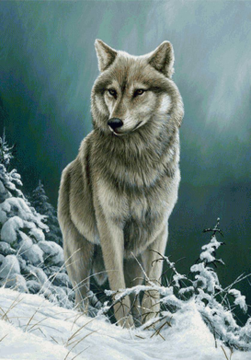 №2412961 - предпросмотр