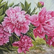 Схема вышивки «Пионы»