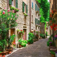 Схема вышивки «Зеленая улочка»