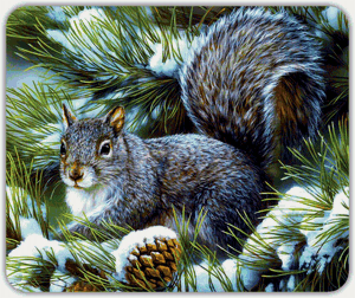 №2414054 - предпросмотр