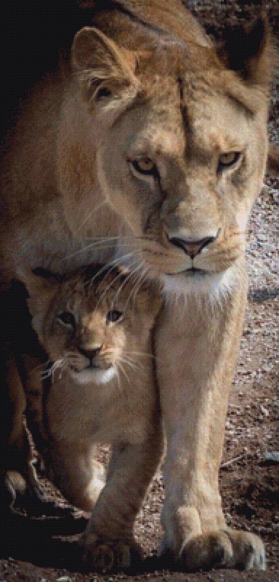 Львица и львенок пнк Кирова - предпросмотр