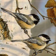 Схема вышивки «Птицы»