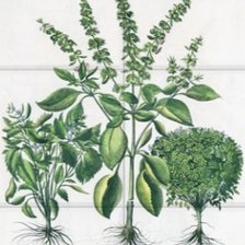 Схема вышивки «Специи и травы»