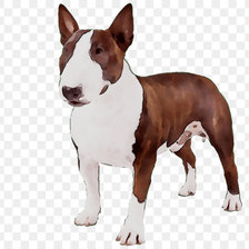 Схема вышивки «bull cafe»