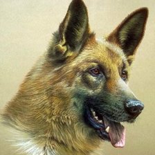 Схема вышивки «Мухтар»