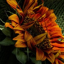 Схема вышивки «Теплое одиночество»