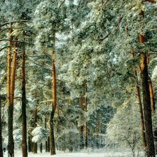 Схема вышивки «сосны»