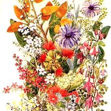 Схема вышивки «цветы»