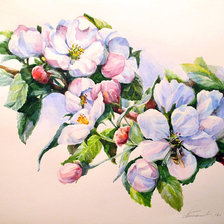 Схема вышивки «Яблоневый цвет»