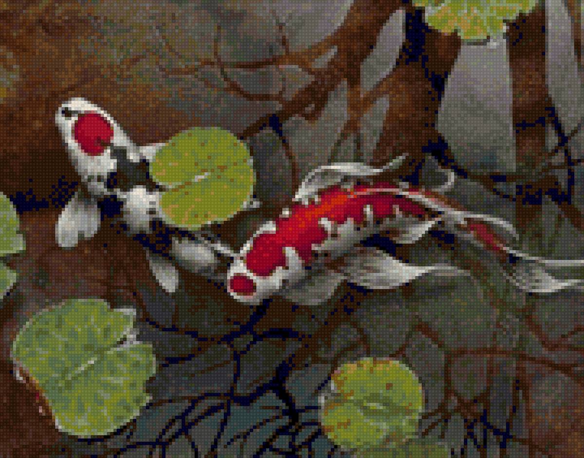 Два карпа - рыба, вода - предпросмотр