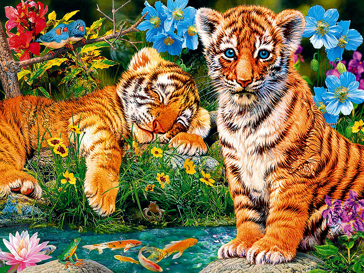 Тигрята - тигрята - оригинал