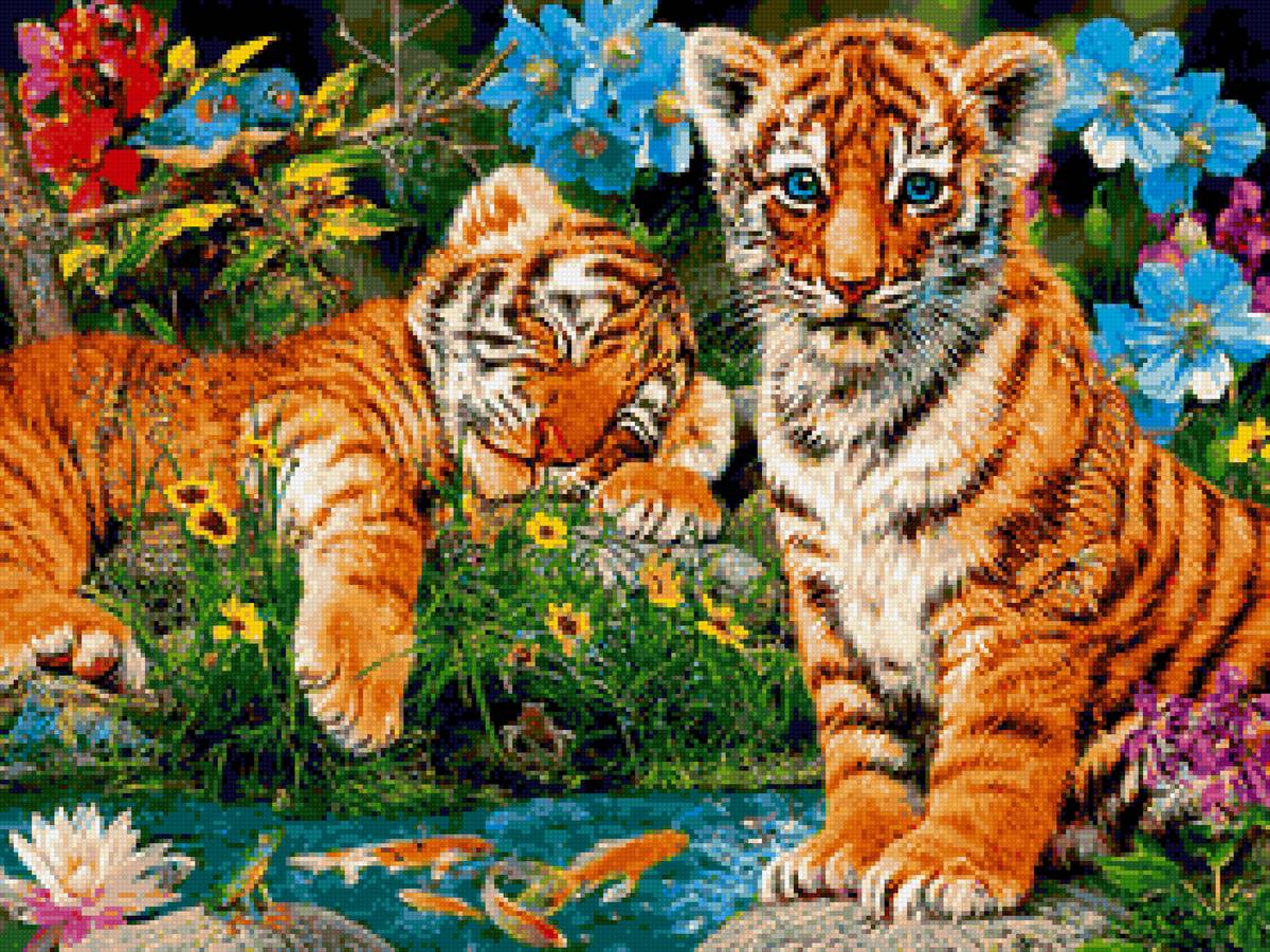 Тигрята - тигрята - предпросмотр