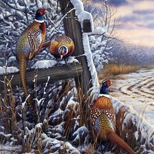 Схема вышивки «Фазаны»