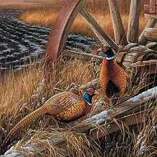 Схема вышивки «Фазаны»