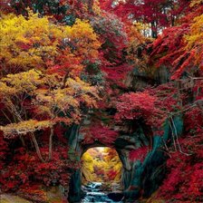 Схема вышивки «Осень»