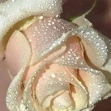 Схема вышивки «№2416943»