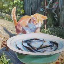 Удачная рыбалка