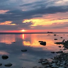 Схема вышивки «priroda»