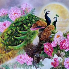 Схема вышивки «павлины»